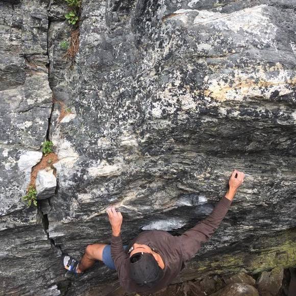 Meet your Posher, Tyrell - Picture 1 of 1